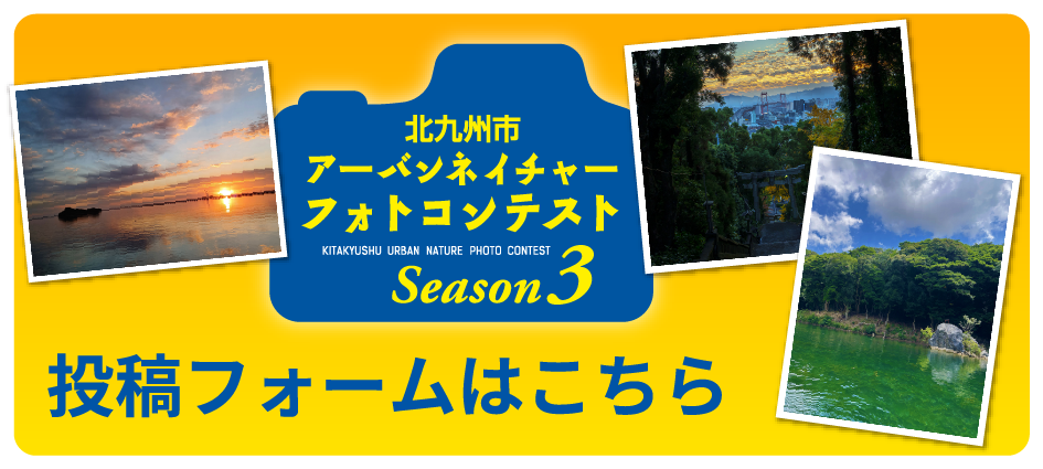投稿フォームはこちら